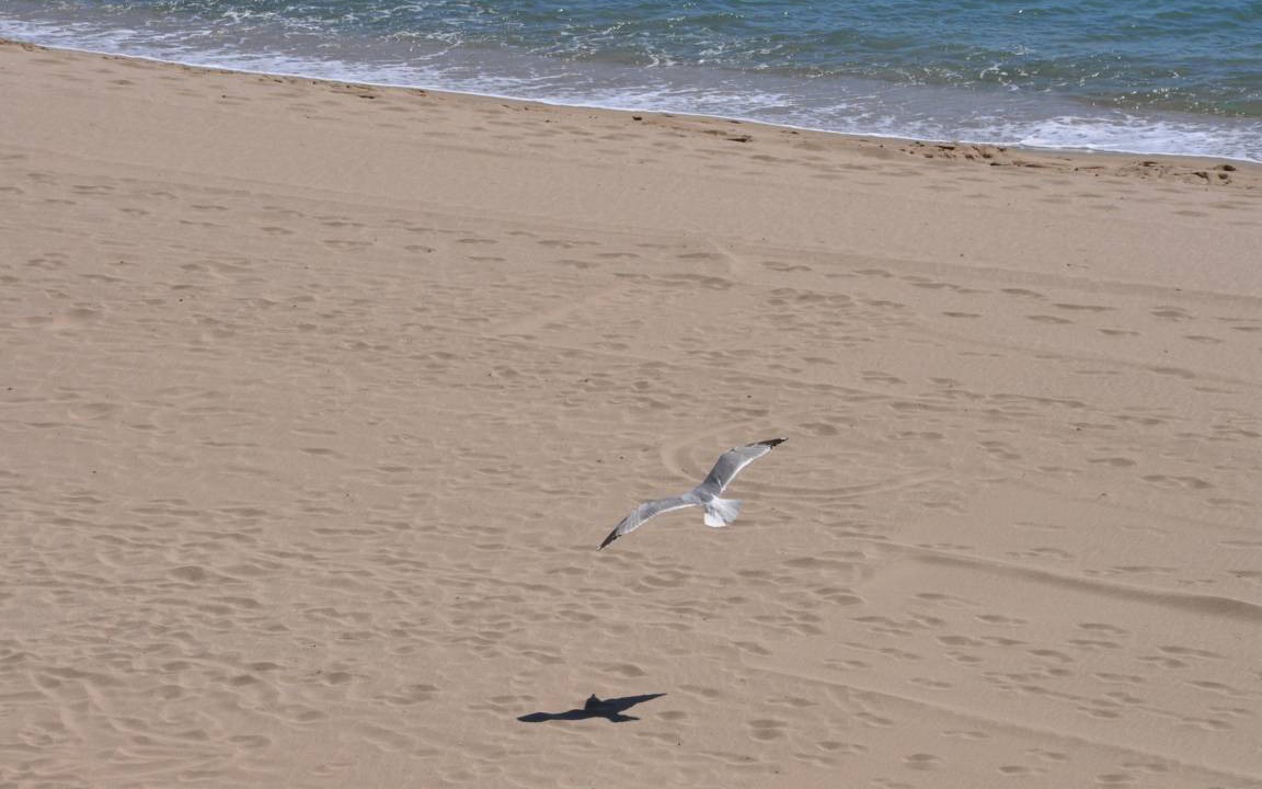 Photo of Others in Santa Margarida