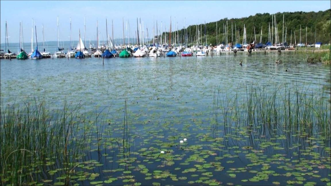 Photo of Others in Altenhagen