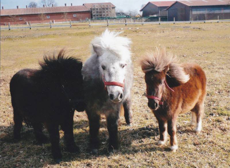 Photo of Others in Gross Eilstorf