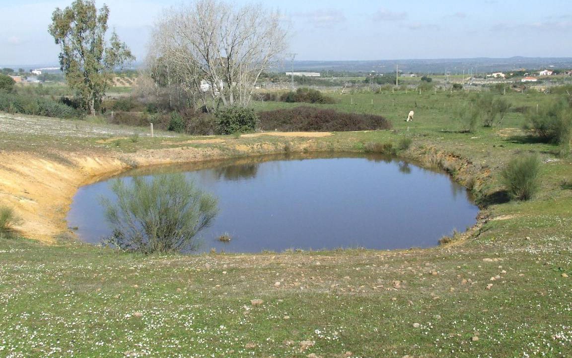 Photo of Others in Alcuescar