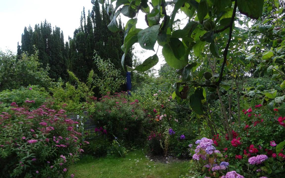Photo of Others in Pommerby