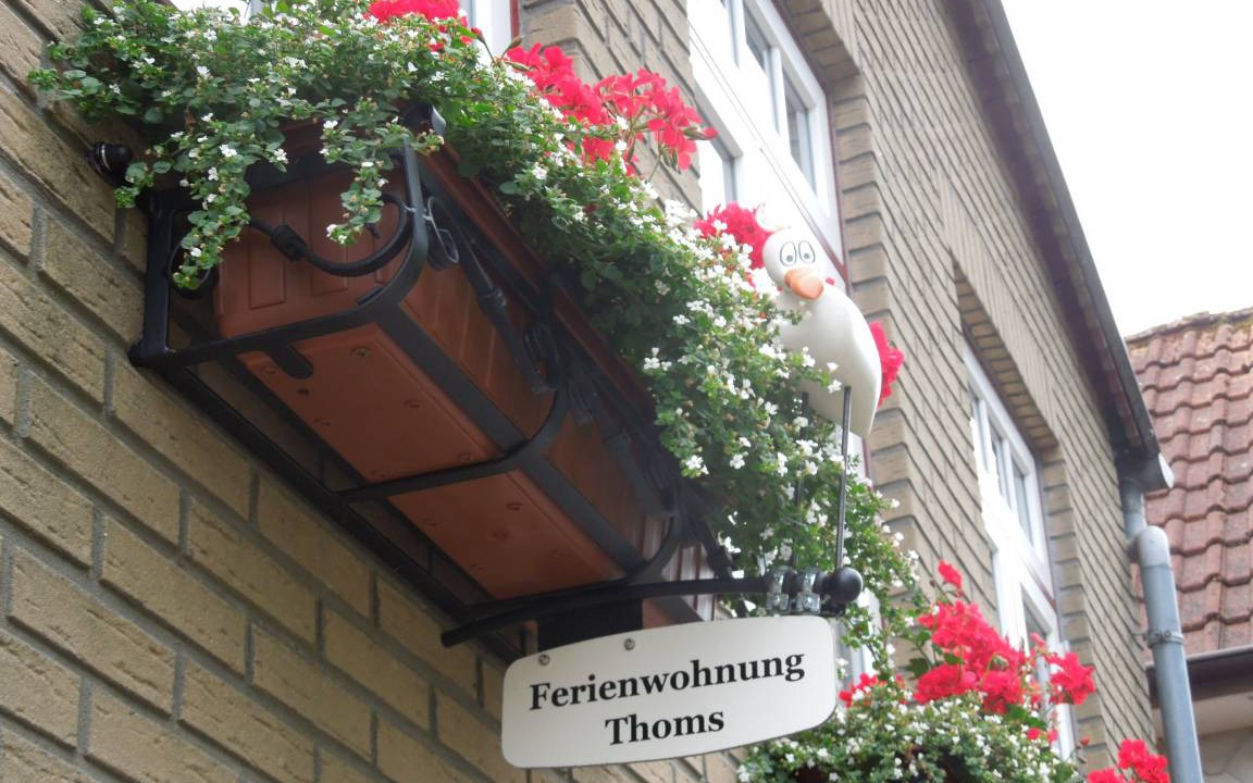 Photo of Others in Schleswig