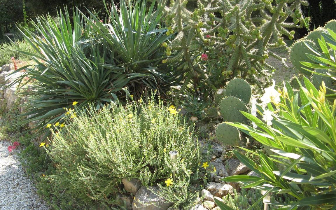 Photo of Outdoor in Garrigues-Sainte-Eulalie