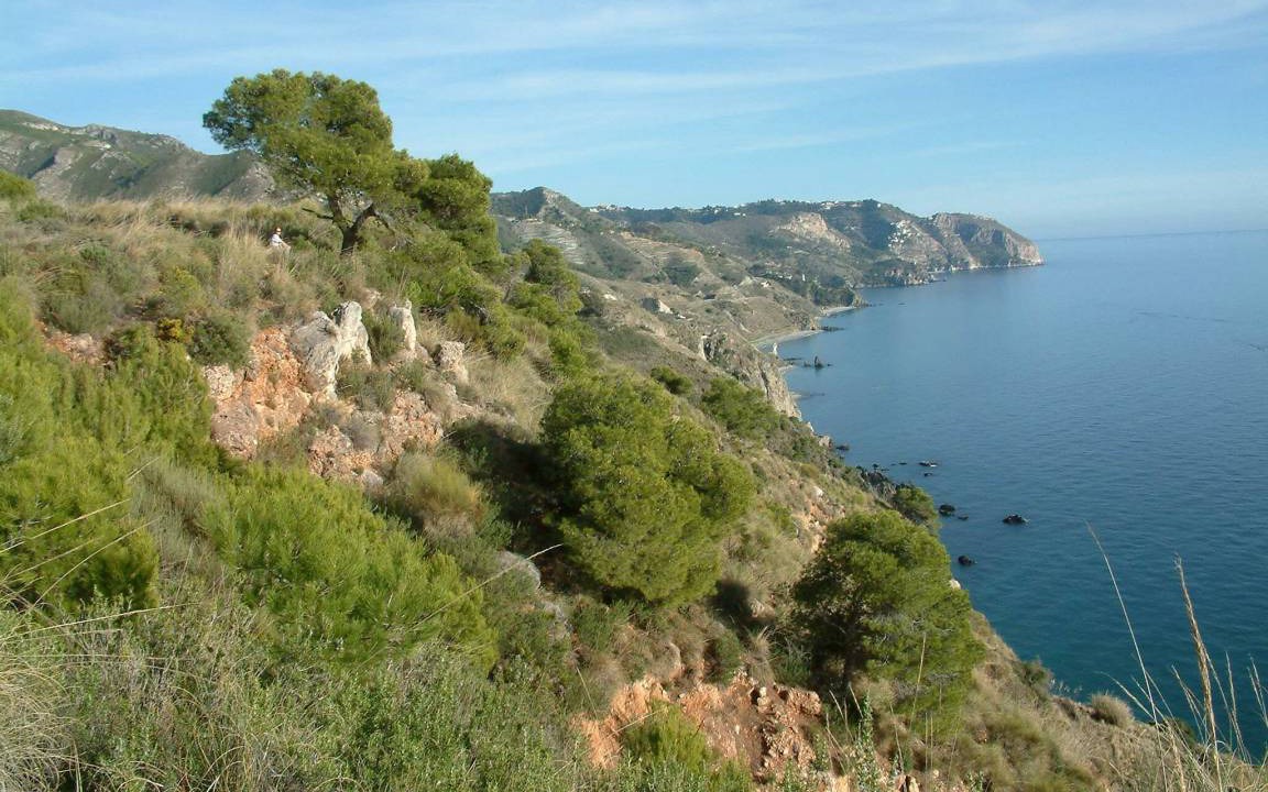 Photo of Others in Caleta de Velez