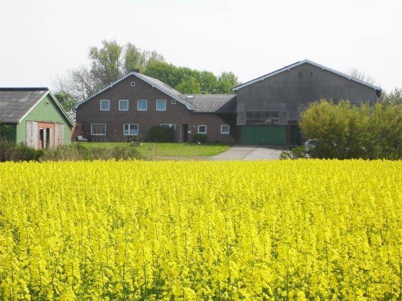 Photo of Others in Vollerwiek