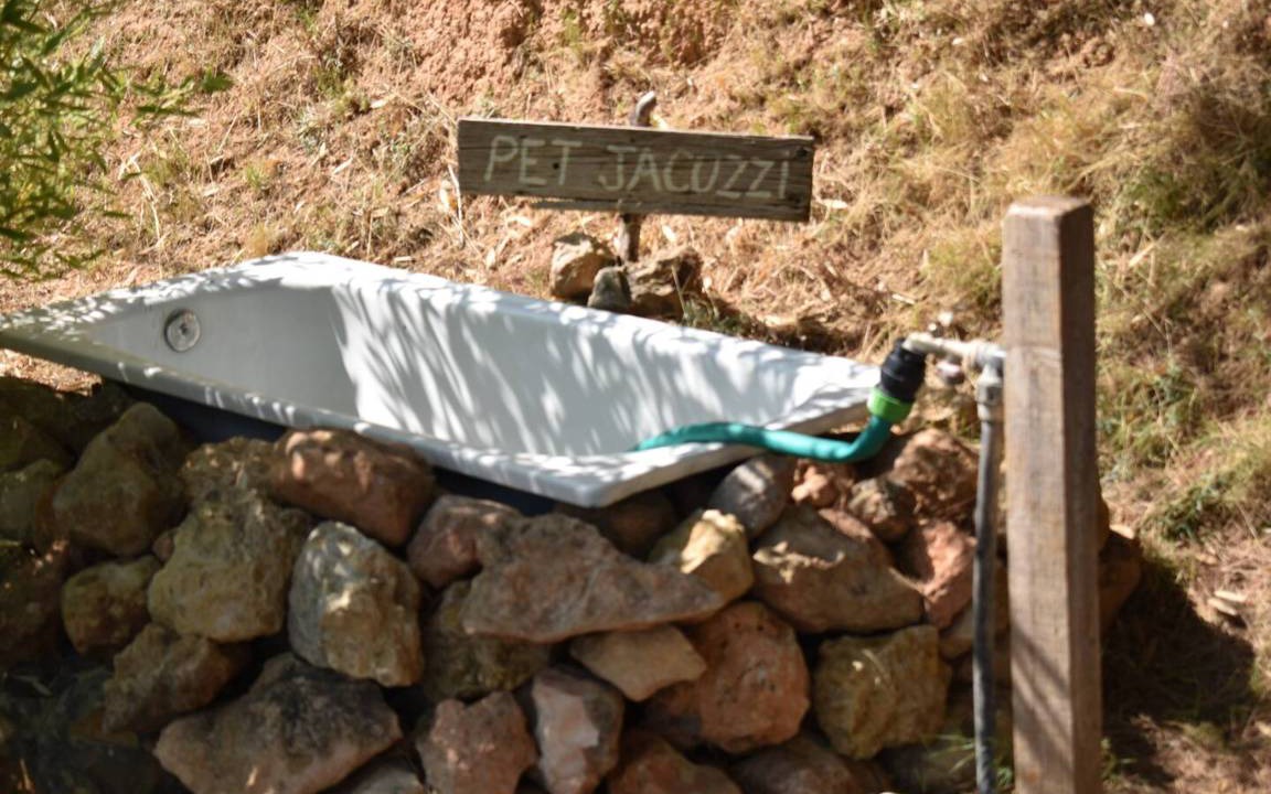 Photo of Others in Pedralba