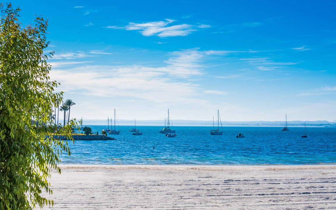 Photo of Others in Alcudia