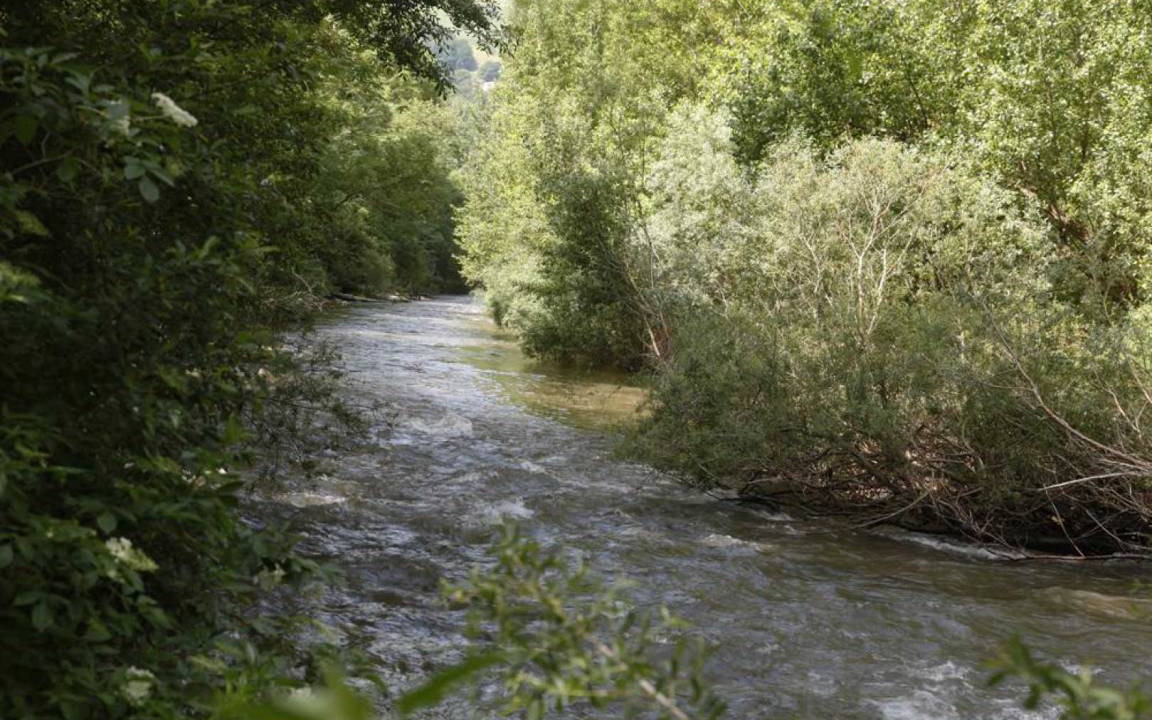 Photo of Others in Curvalle