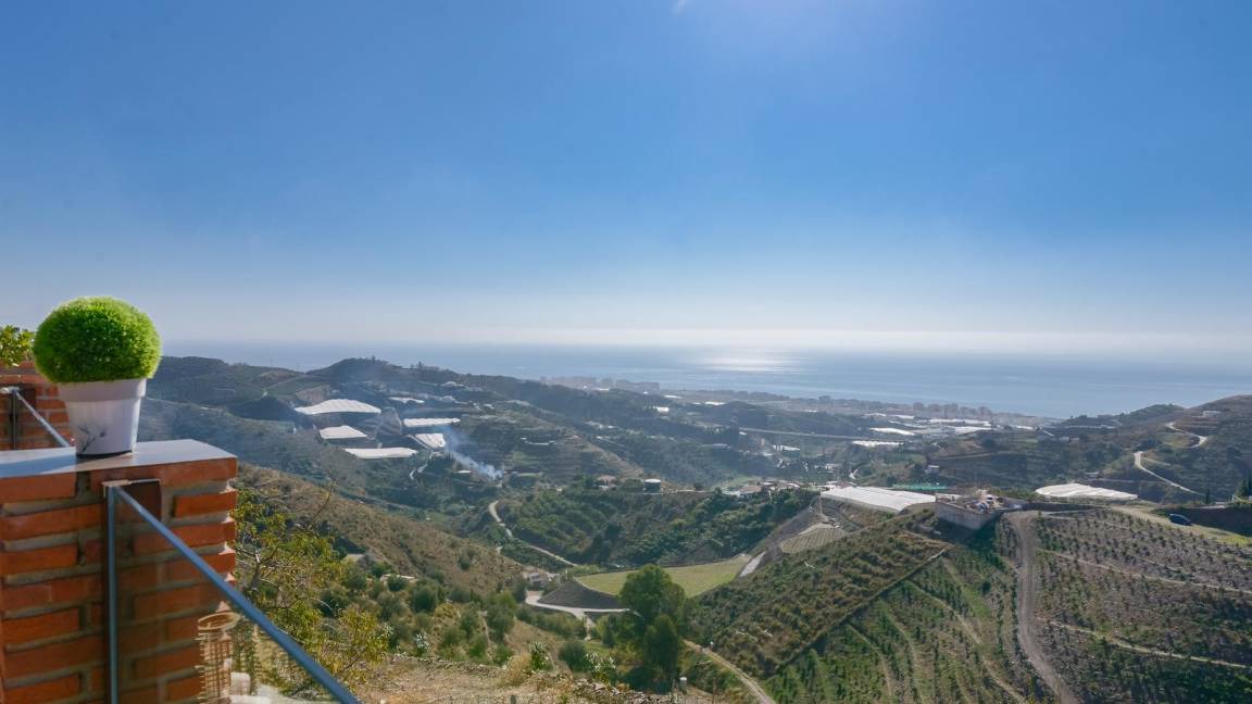 Photo of Others in Torrox