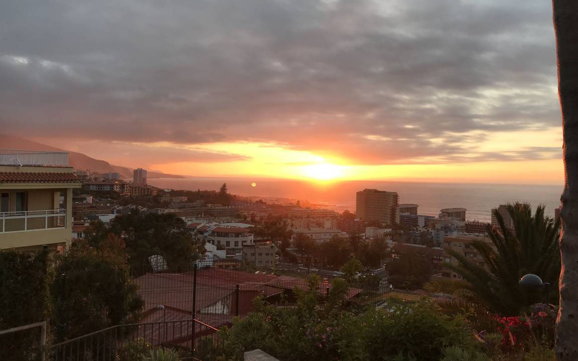 Photo of Others in Puerto de la Cruz