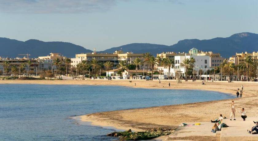 Photo of Others in Palma de Mallorca