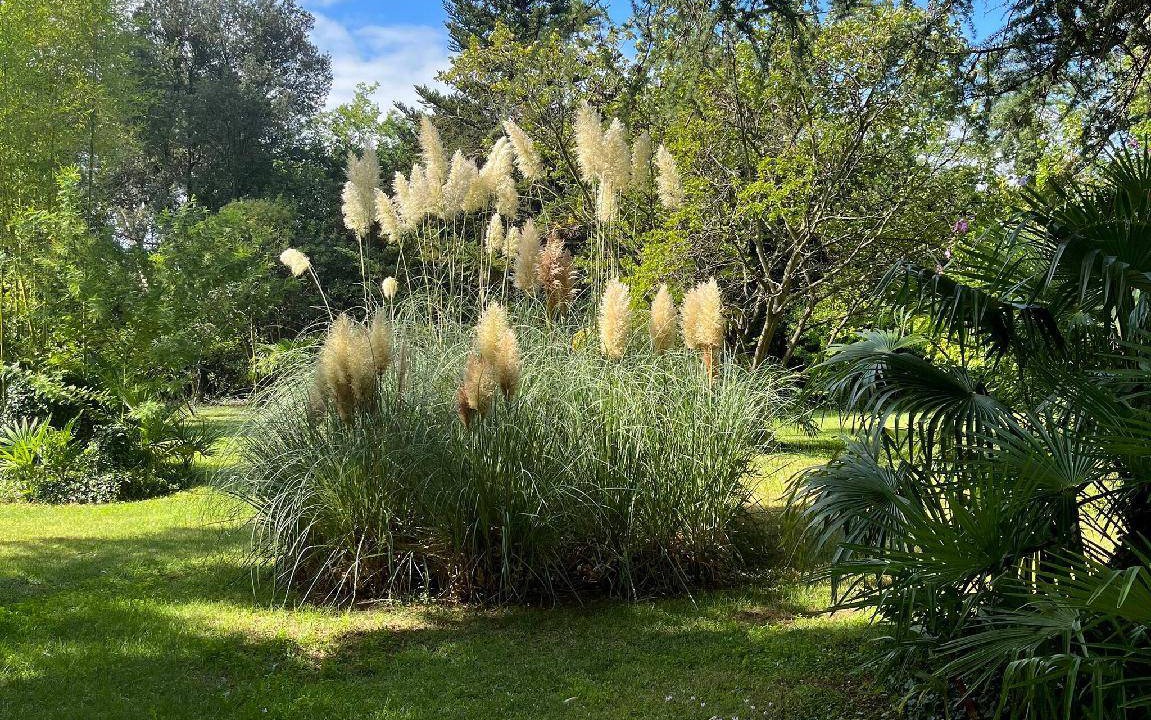 Photo of Outdoor in Costieres