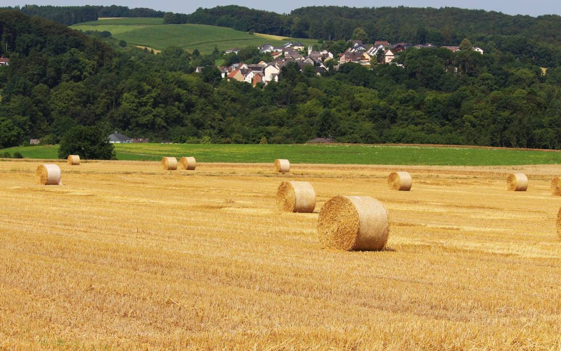 Photo of Others in Furfurt