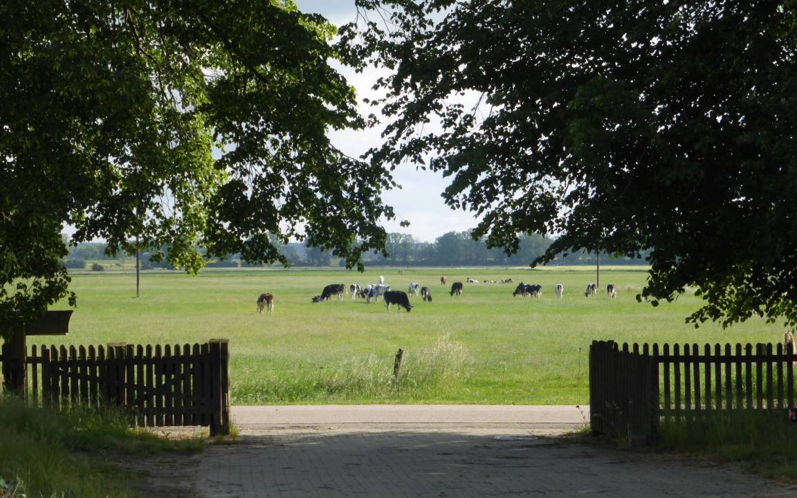 Photo of Others in Schnackenburg