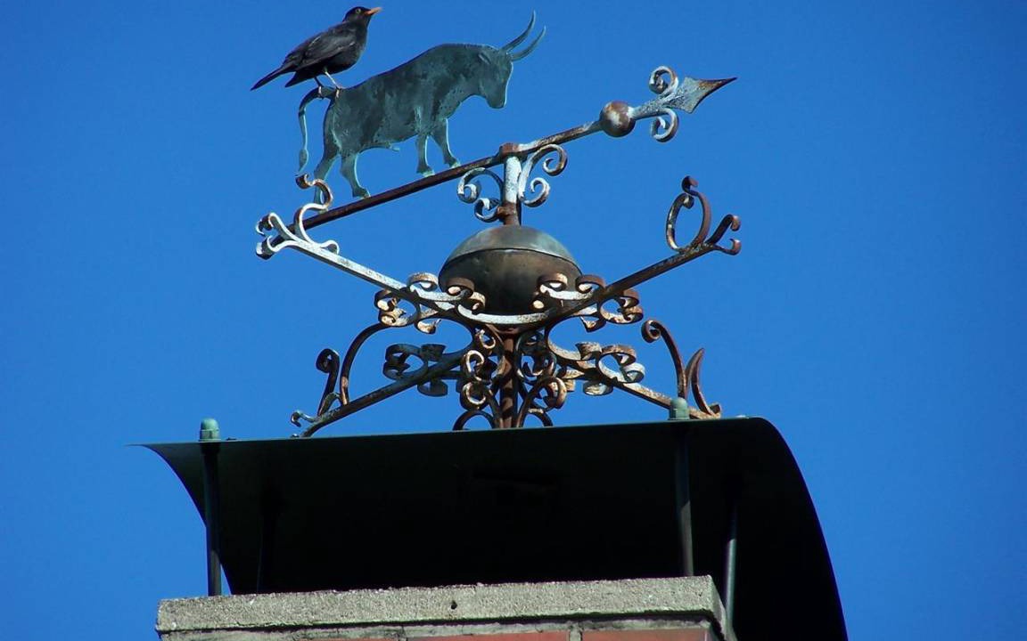 Photo of Others in Westerhever