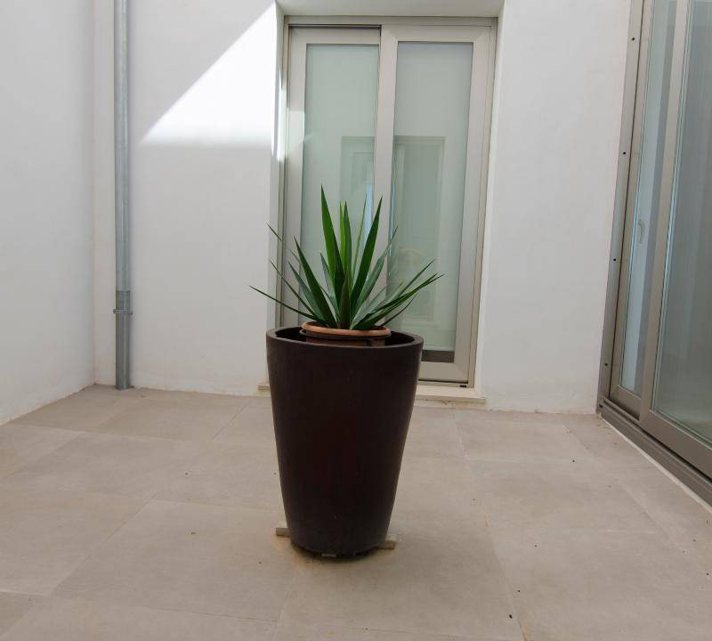 Photo of Others in S'Estanyol de Migjorn
