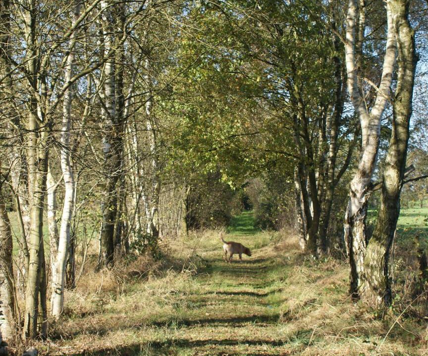 Photo of Others in Kirchlinteln