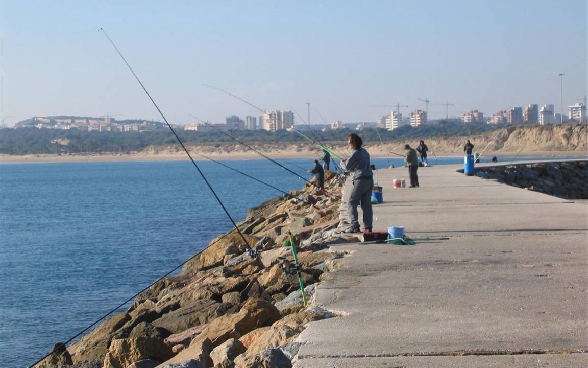 Photo of Others in Guardamar del Segura