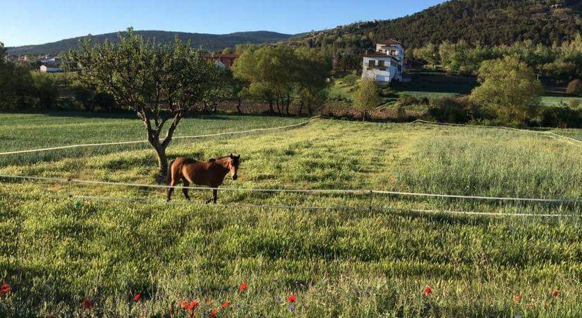 Photo of Others in Orihuela del Tremedal