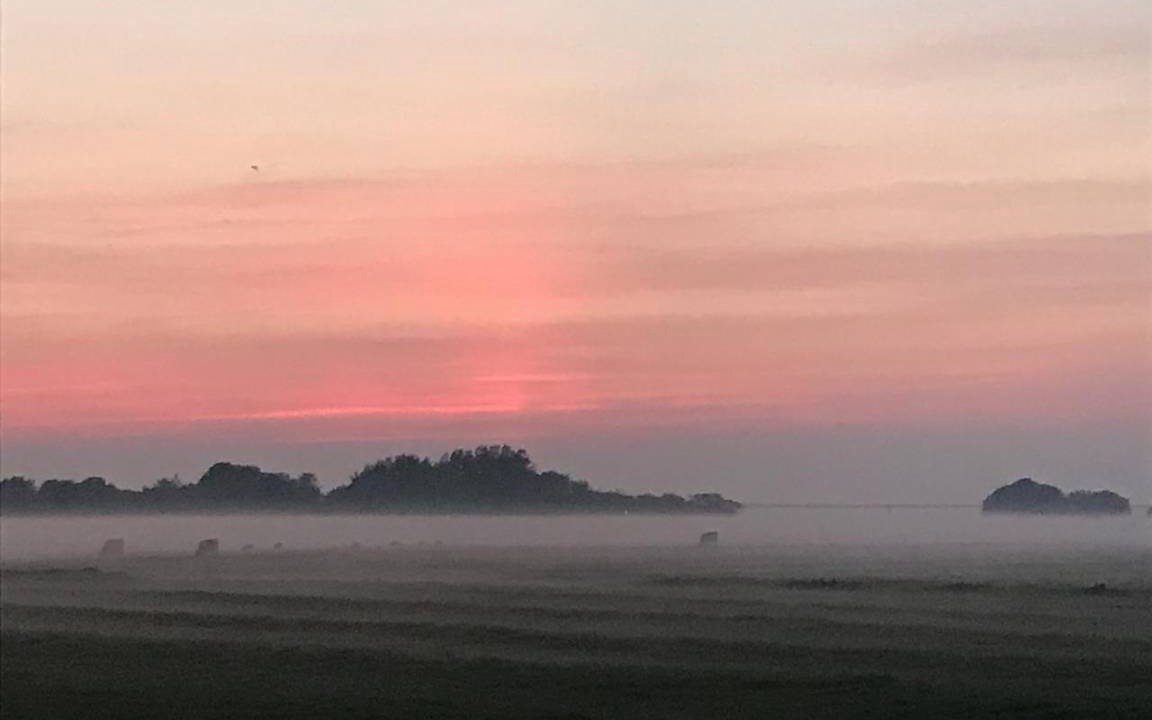 Photo of Others in Osterhever