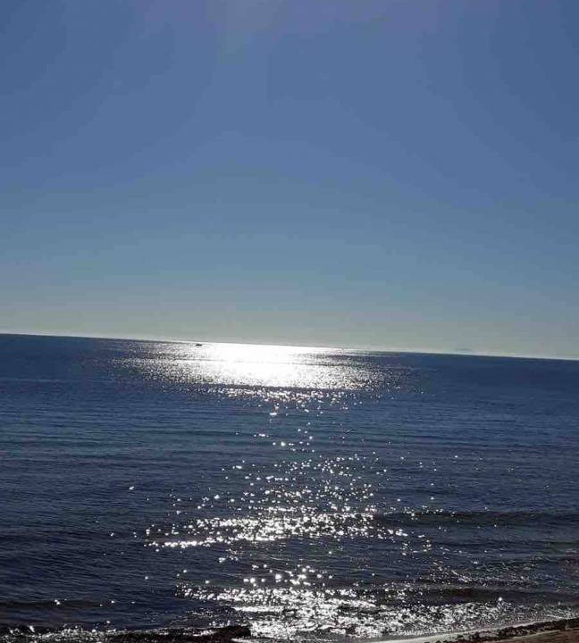 Photo of Others in La Mata