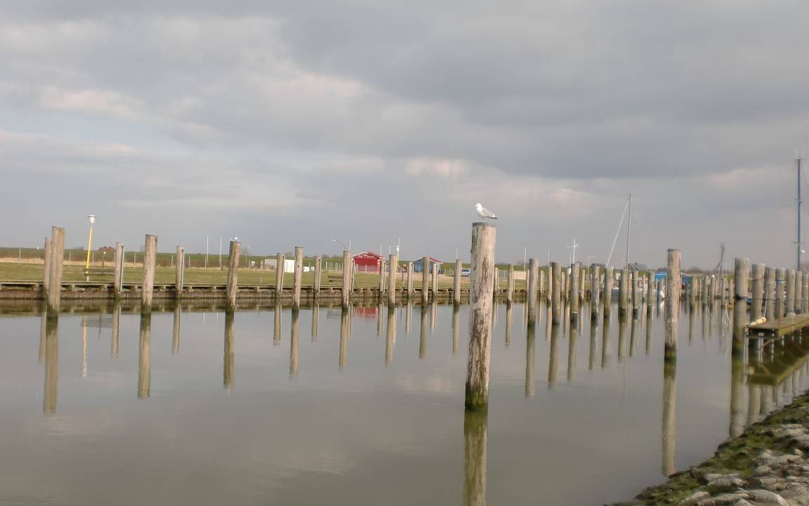 Photo of Others in Dorum