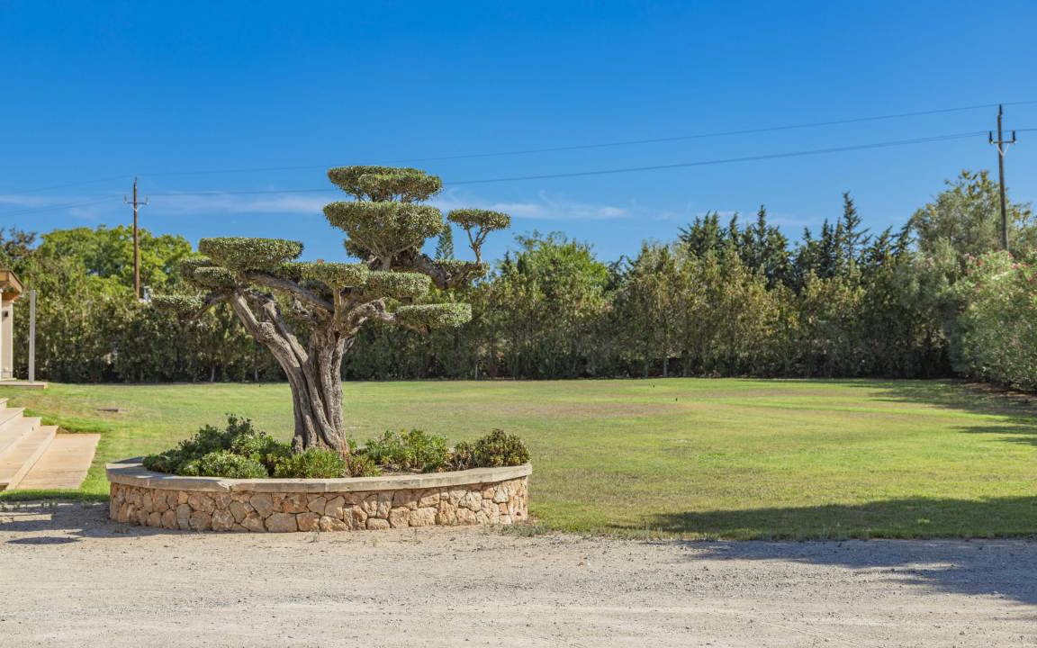 Photo of Others in Alcudia