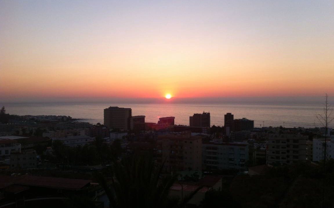 Photo of Others in Puerto de la Cruz