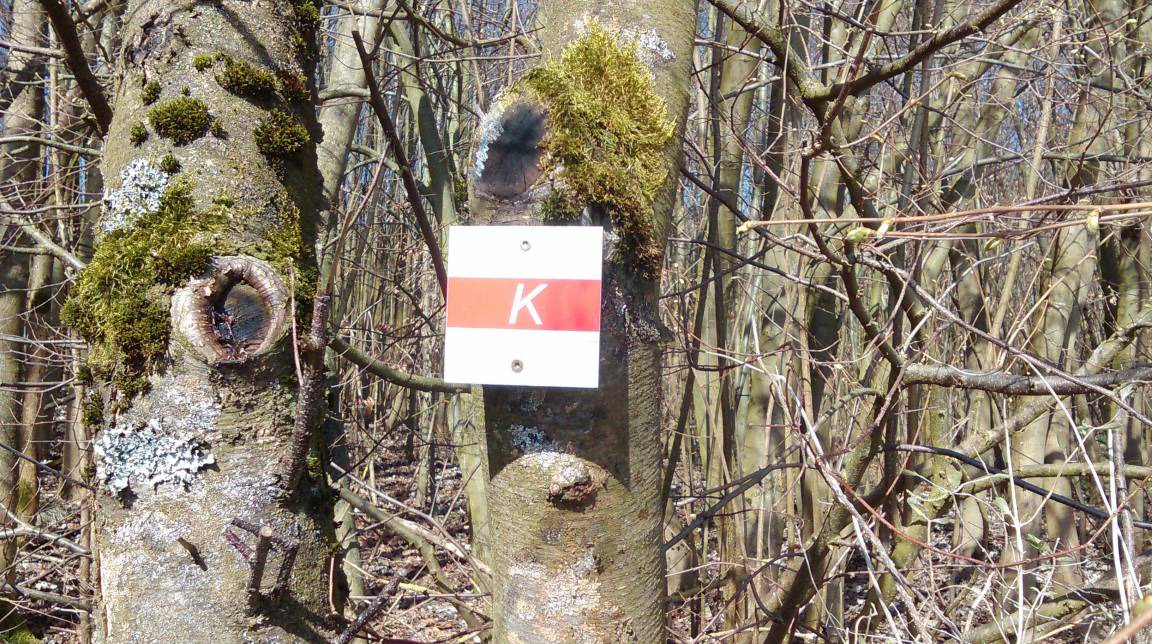 Photo of Others in Schwiegershausen