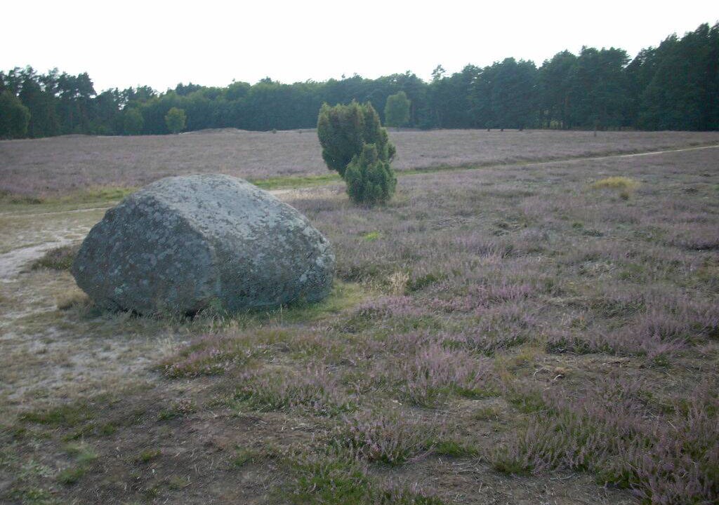 Photo of Others in Bad Bevensen