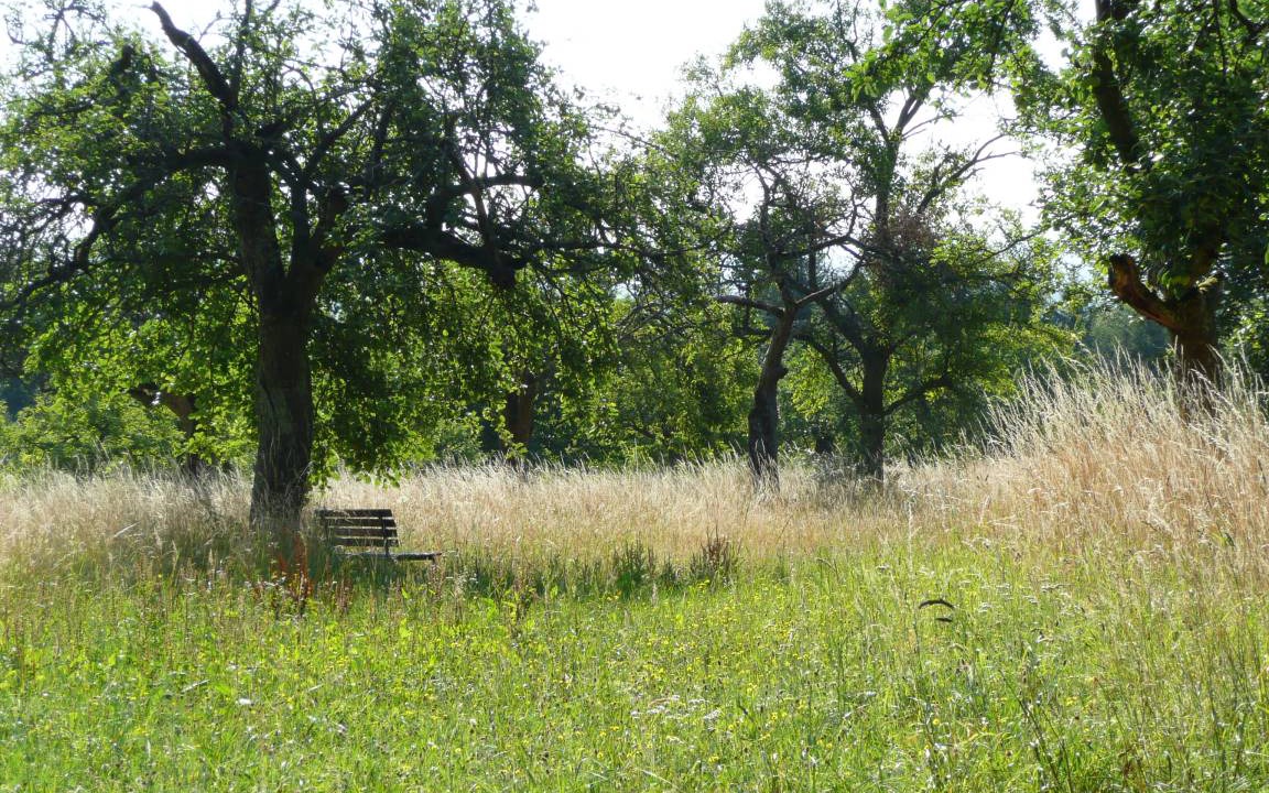 Photo of Others in Hofheim am Taunus