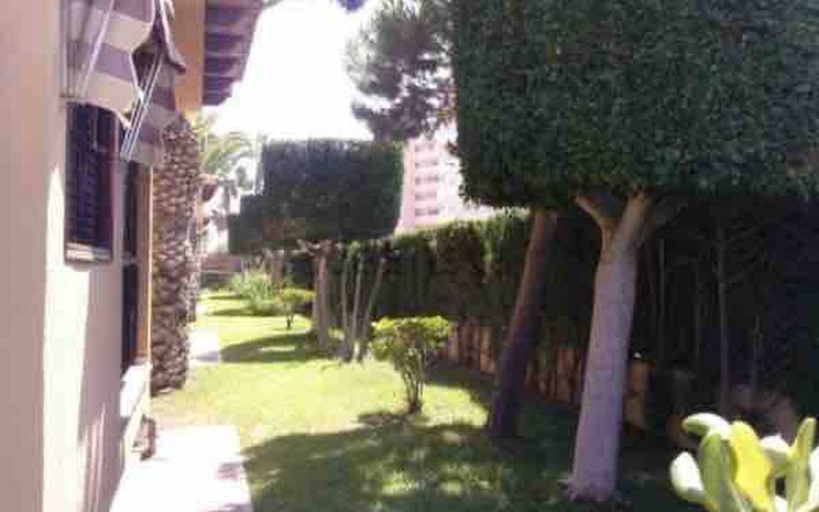 Photo of Others in La Mata
