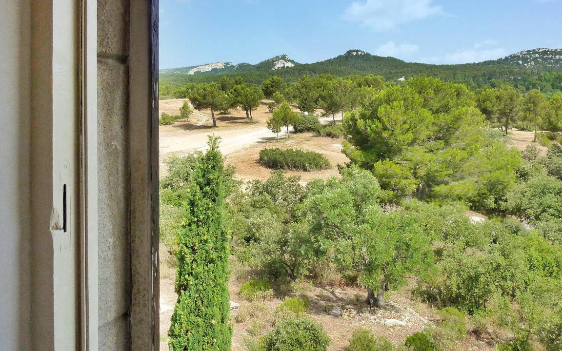 Photo of Others in Paradou