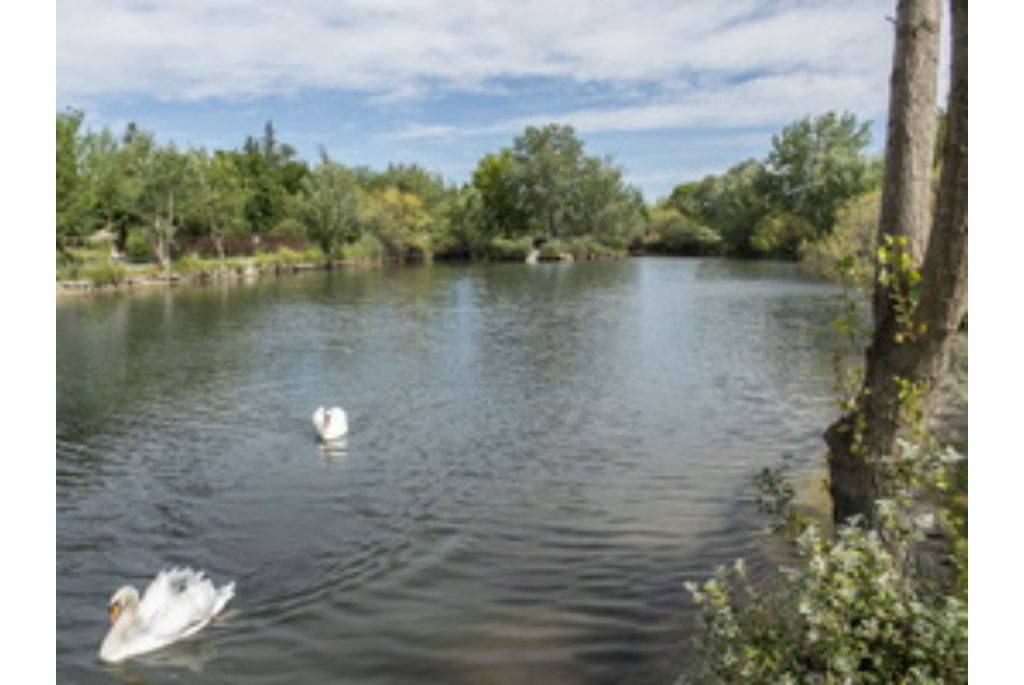 Photo of Others in Saint-Saturnin-les-Avignon