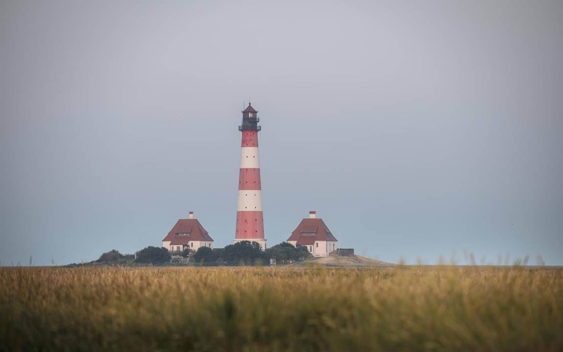 Photo of Others in Westerhever