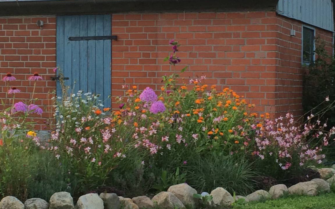 Photo of Others in Dohnsdorf