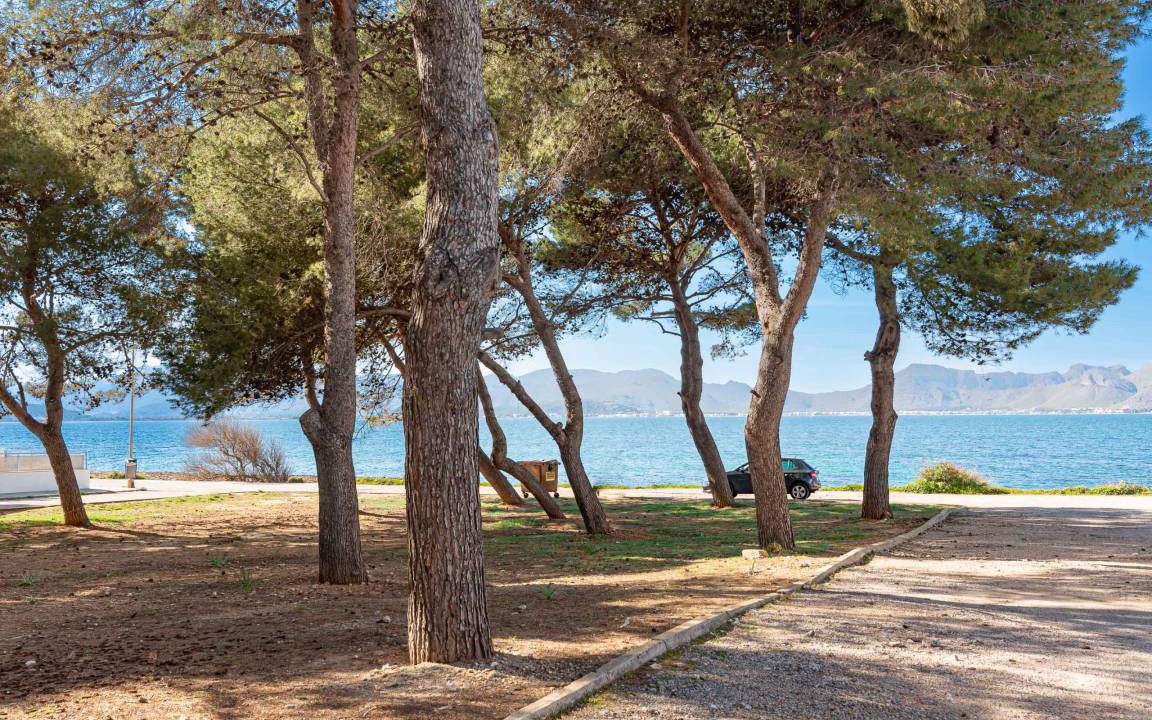Photo of Others in Marina Manresa