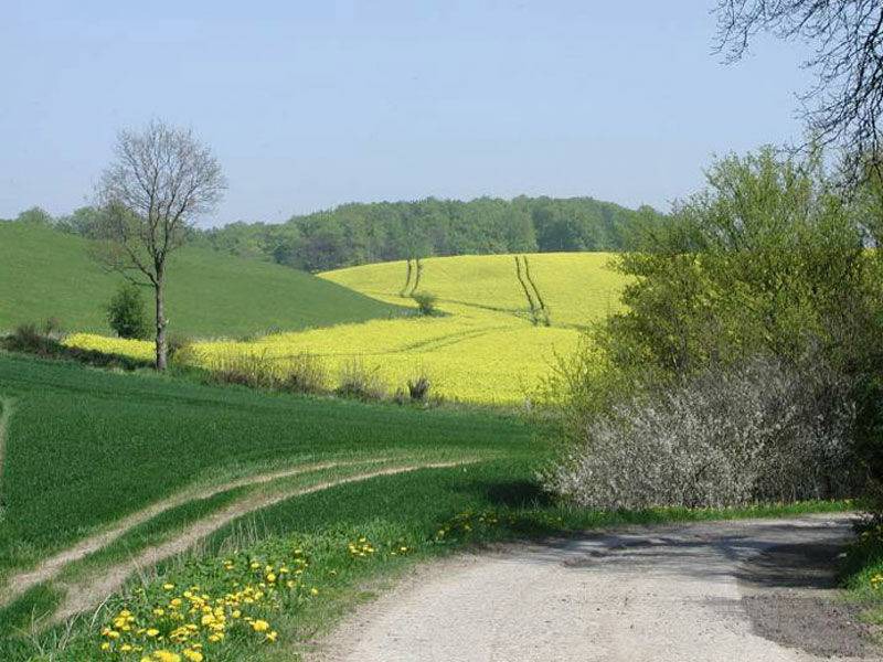 Photo of Others in Timmdorf