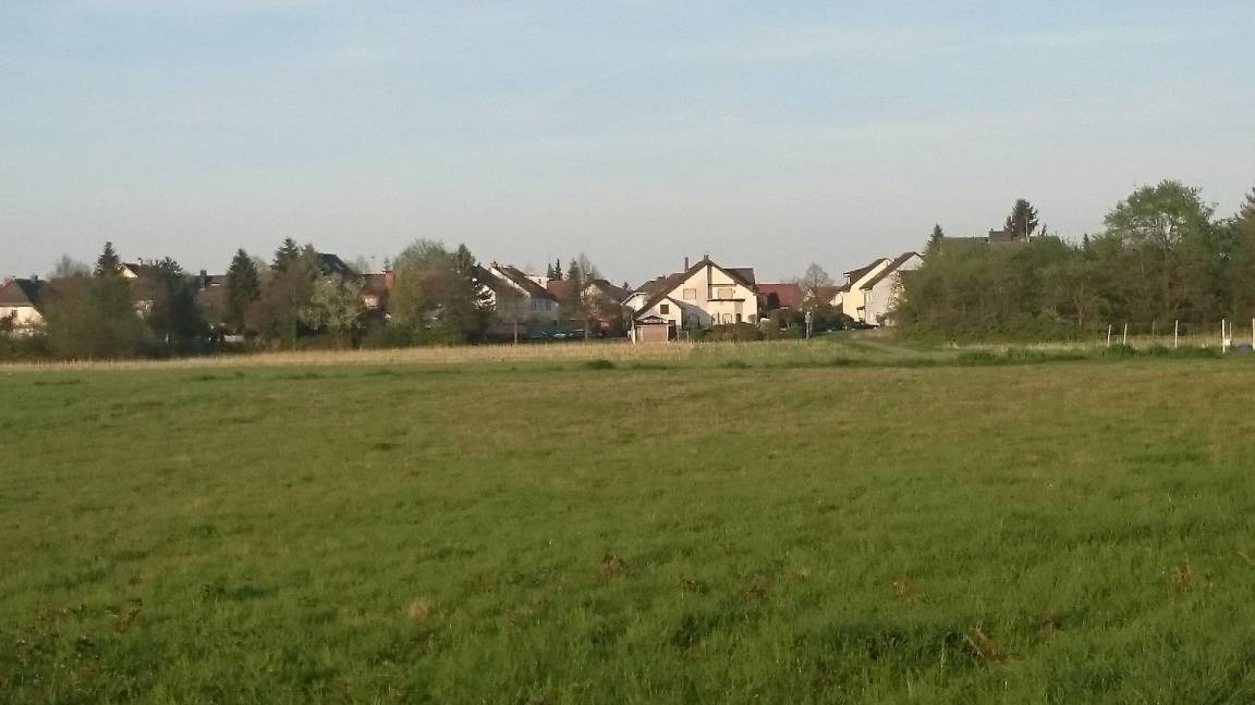 Photo of Others in Hanau
