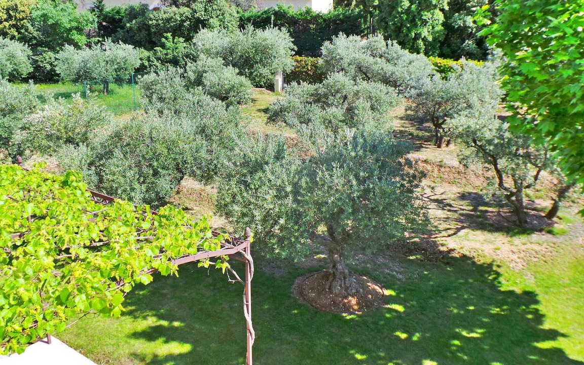 Photo of Others in Eygalieres