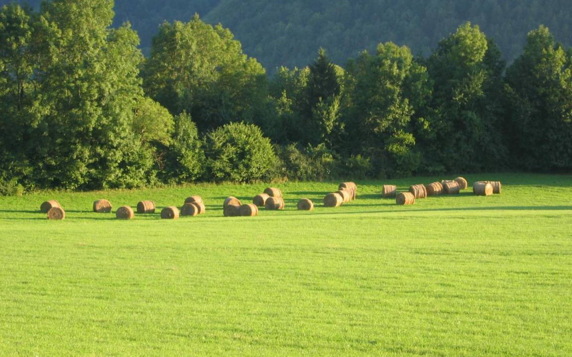 Photo of Others in Saint-Germain-de-Joux