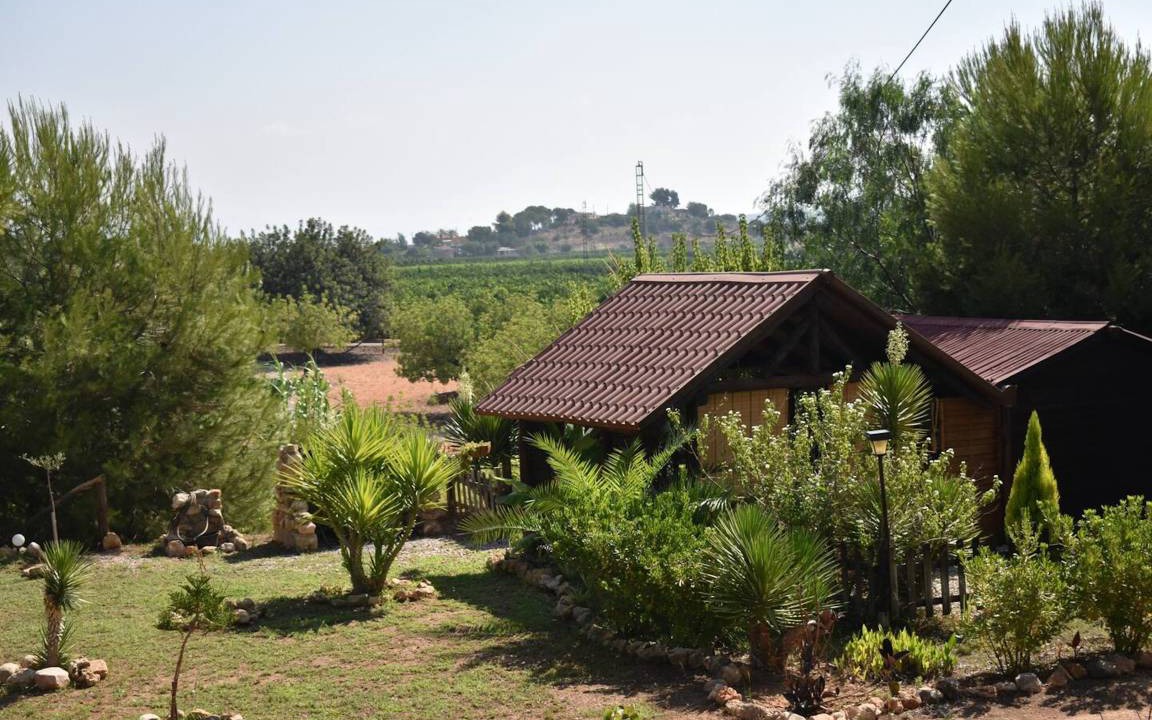 Photo of Others in Pedralba