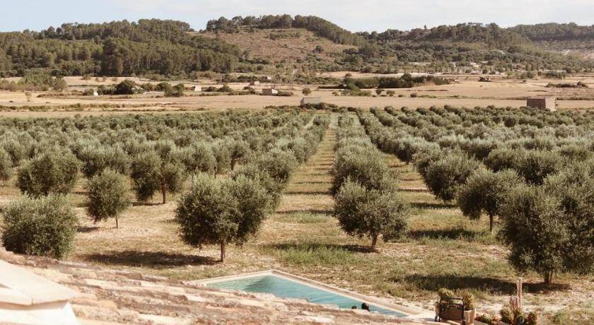 Photo of Others in Sant Joan