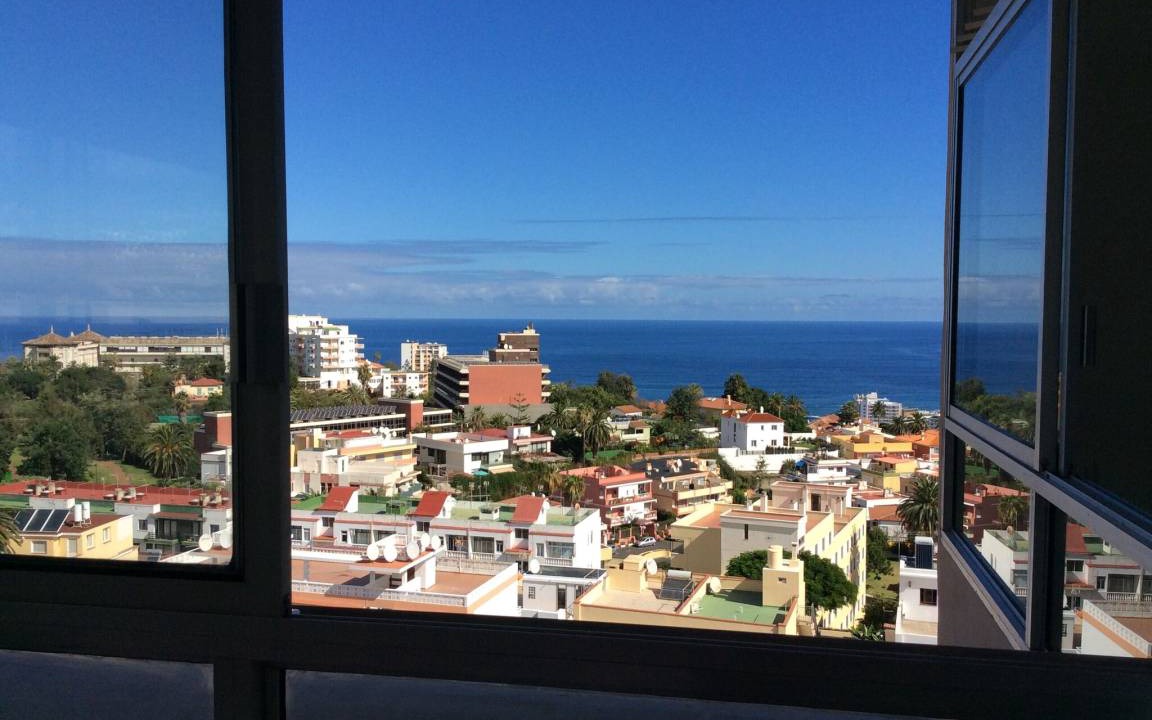 Photo of Others in Puerto de la Cruz