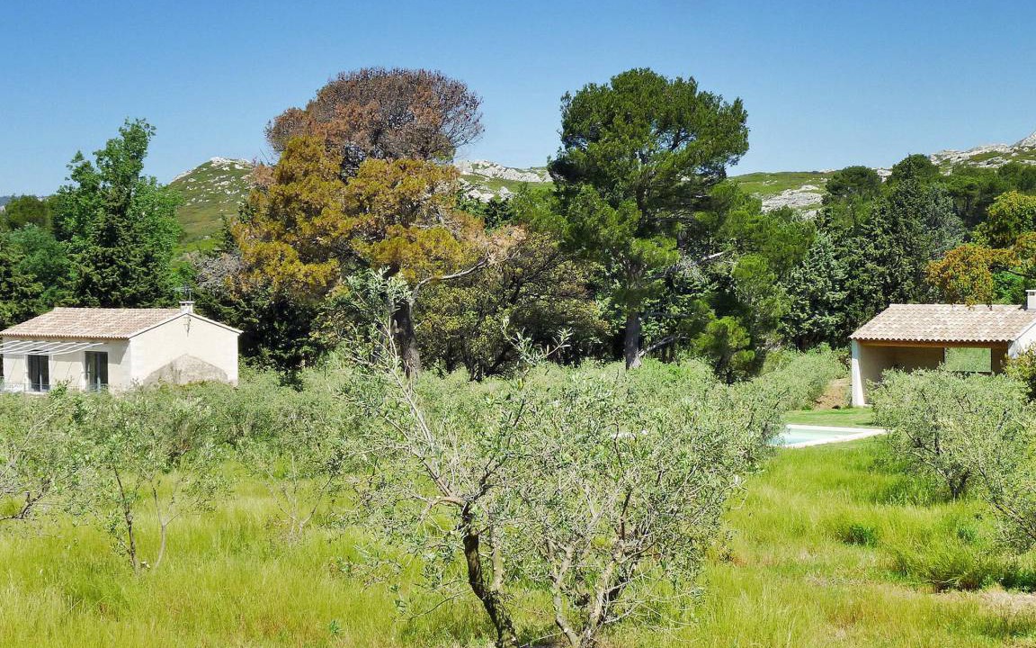 Photo of Others in Maussane-les-Alpilles