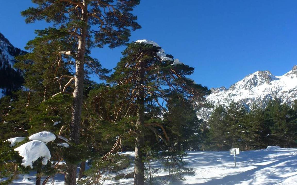 Photo of Others in Cauterets