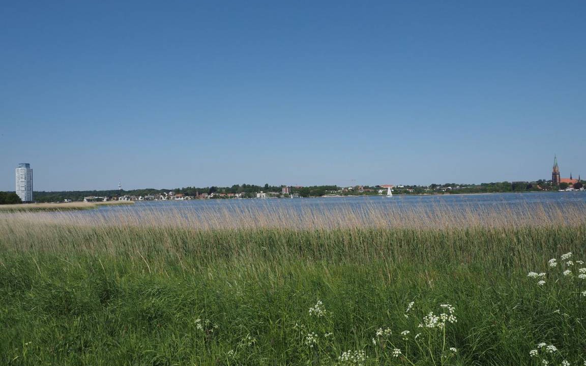 Photo of Others in Schleswig