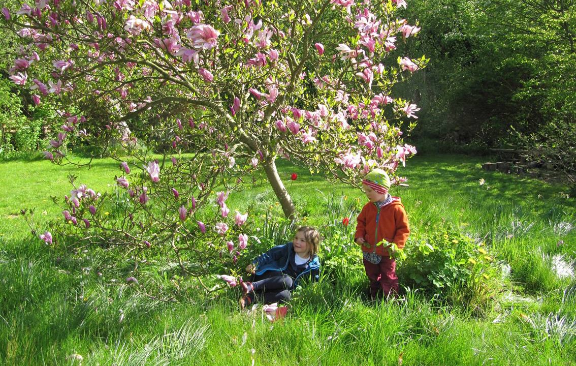Photo of Others in Putbus