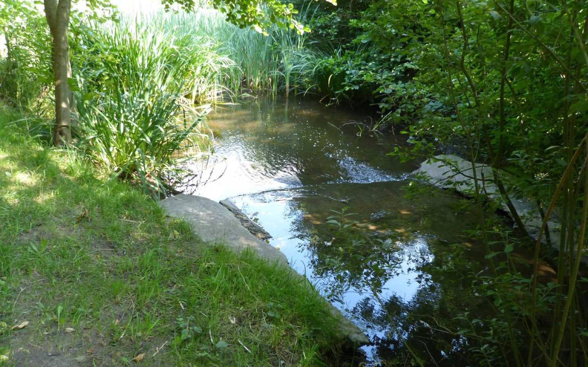 Photo of Others in Adendorf