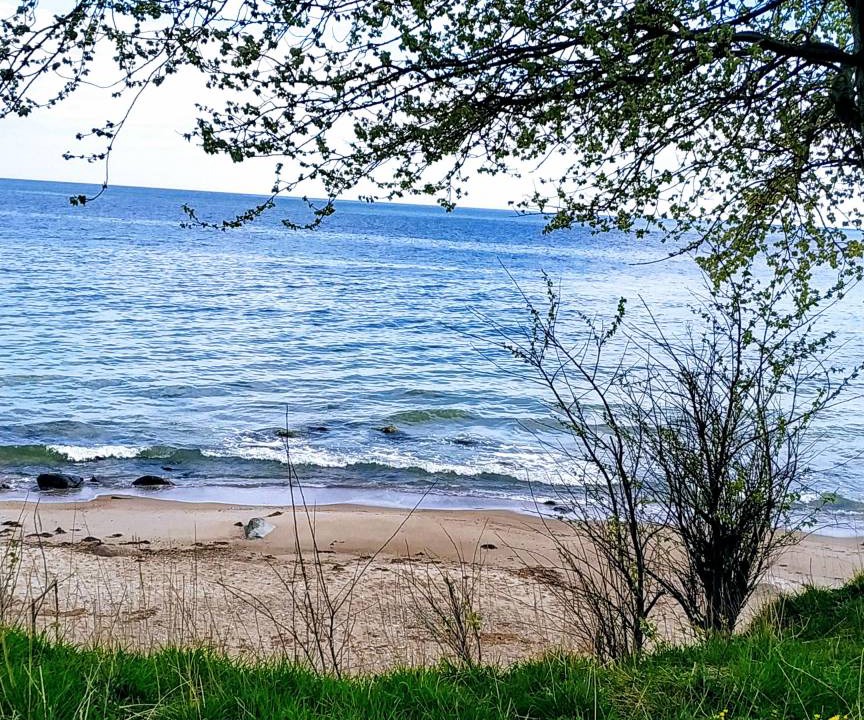 Photo of Others in Burg auf Fehmarn